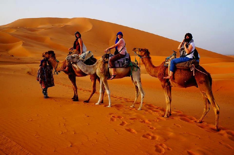 Sahara desert Camel Trek
