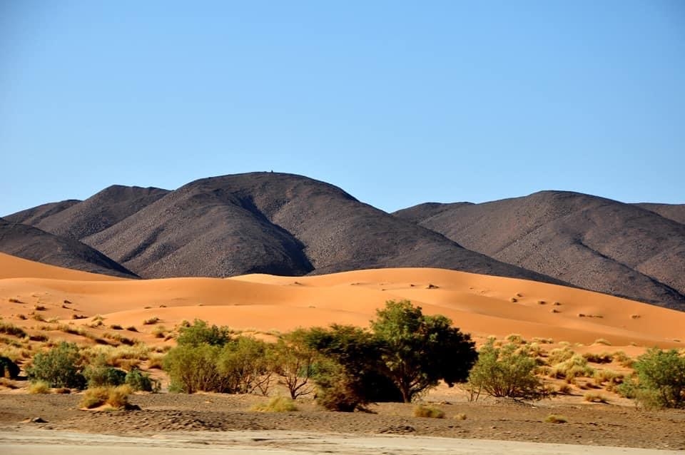Ouzina desert Morocco