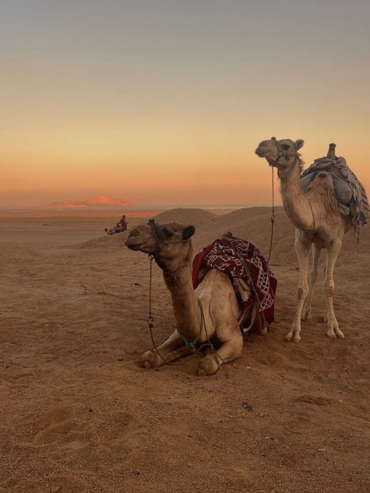 3 Days Marrakech to Merzouga Desert Tour (2)