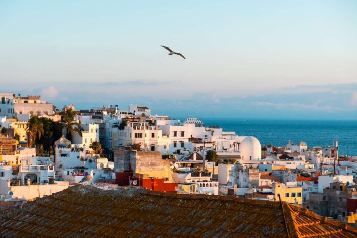 12 Days Tour from Tangier